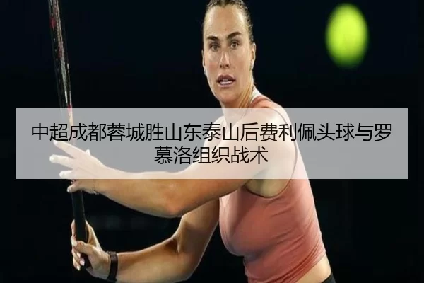 zhong-chao-cheng-du-rong-cheng-sheng-shan-dong-tai-shan-hou-fei-li-pei-tou-qiu-yu-luo-mu-luo-zu-zhi-zhan-shu-3-565.jpg